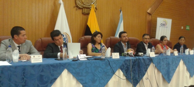 150218 cne plenoguayas