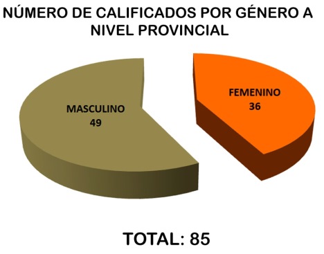 150319 cne grafico1
