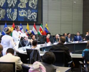 150507 cne unasur 1