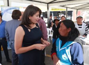 150917 cne vicepresidenta