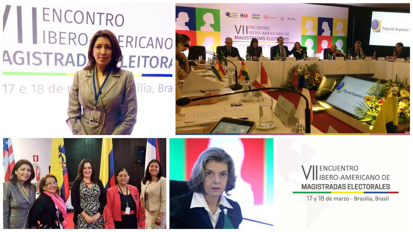 160318 cne vicepresidenta