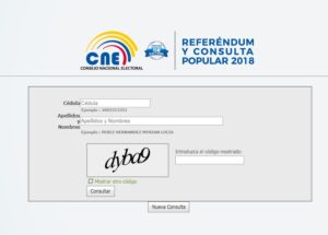 171227 cne consulta mjrv
