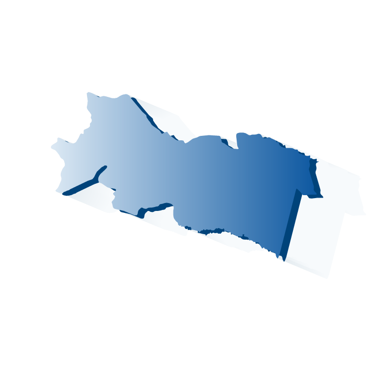 ORELLANA