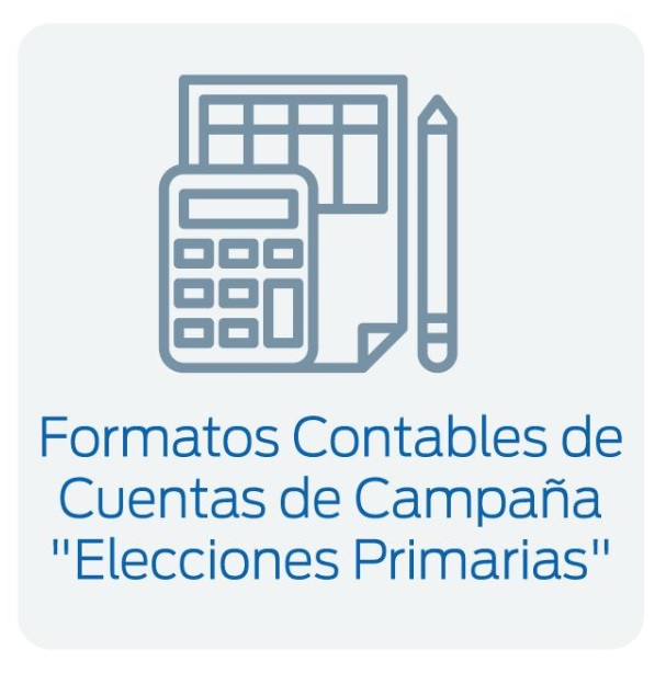 Formatos Contables de Cuentas de Campaña
