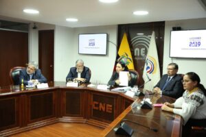080519 cnepleno resolucion