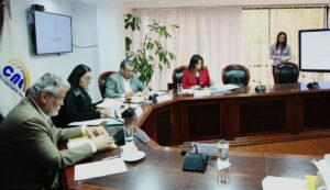 2020-02-21 Pleno del CNE