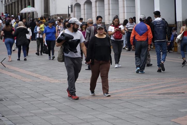 cne convoca