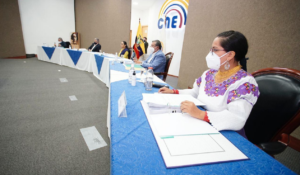 Pleno cne
