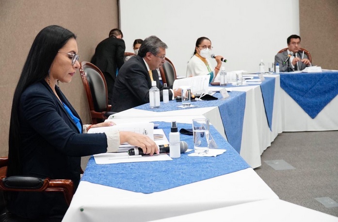 pleno lunes 12