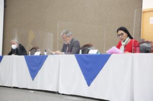 pleno 7 enero
